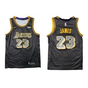 Nike LeBron James Los Angeles Lakers Black Mamba City Edition Swingman jersey 48